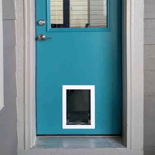 Pet door in a door